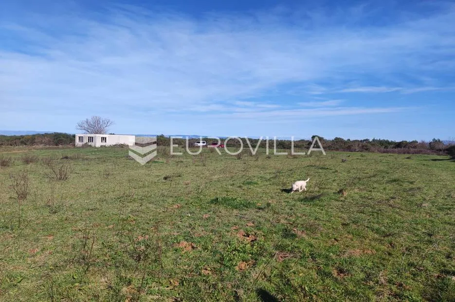 ližnjan, veliko poljoprivredno zemljište 7340 m2 s pogledom more - slika 9
