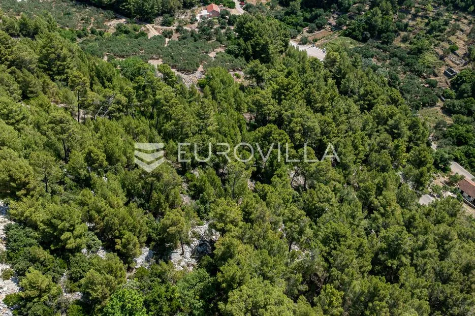 otok korčula, blato, uvala gršćica, poljoprivredno zemljište blizu mora - slika 5