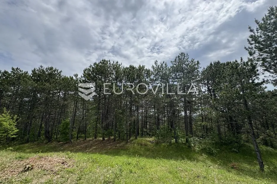istra, grašćišće, jedinstveno građevinsko zemljište 2000 m² okruženo stoljetnom šumom 36789 m² - slika 19