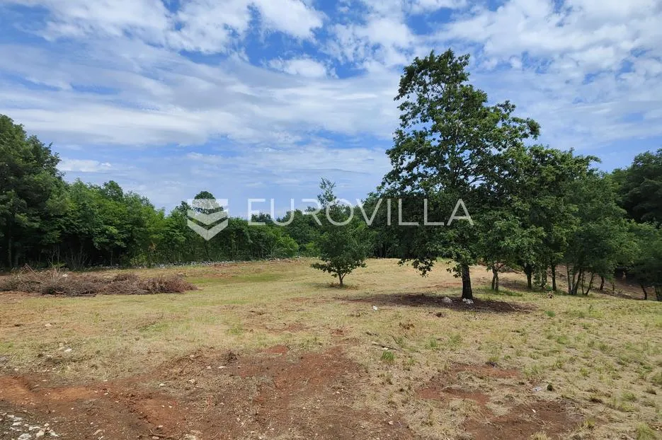 barban, rojnići, prekrasno pravokutno građevinsko zemljište 910 m² - slika 13
