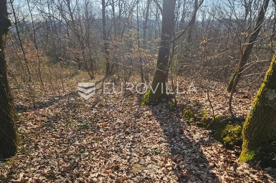 velika gorica, zemljište 6.802 m², babićev brijeg i katin grob | mir, priroda i potencijal za opg - slika 4