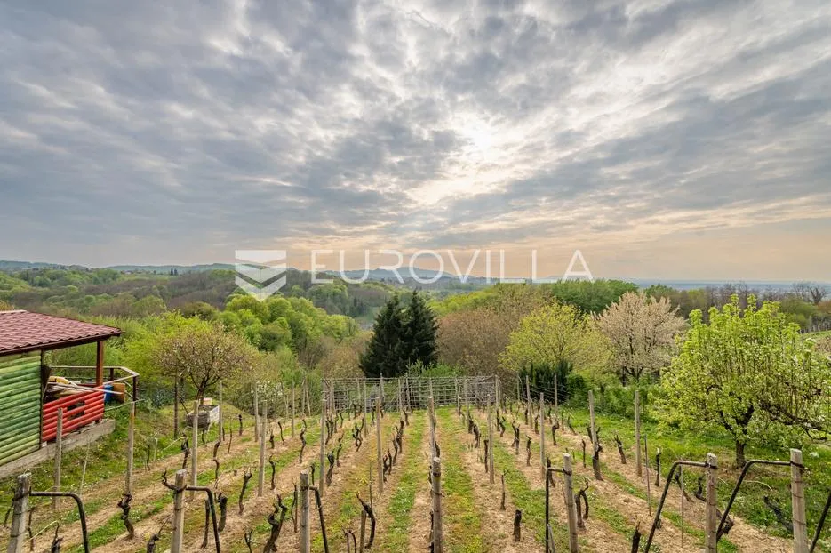 jalžabet, jakopovec, simpatična vikend kuća s vinogradom na prekrasnoj lokaciji - slika 2
