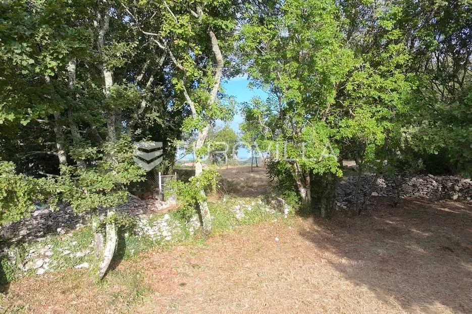 istra, tinjan, građevinsko zemljište nkp 3623 m2 - slika 6