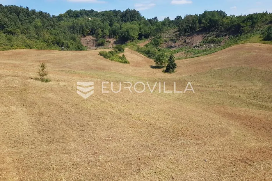 slunj, cvijanović brdo, zemljište 378428 m² s 2 objekta, višenamjensko - slika 3