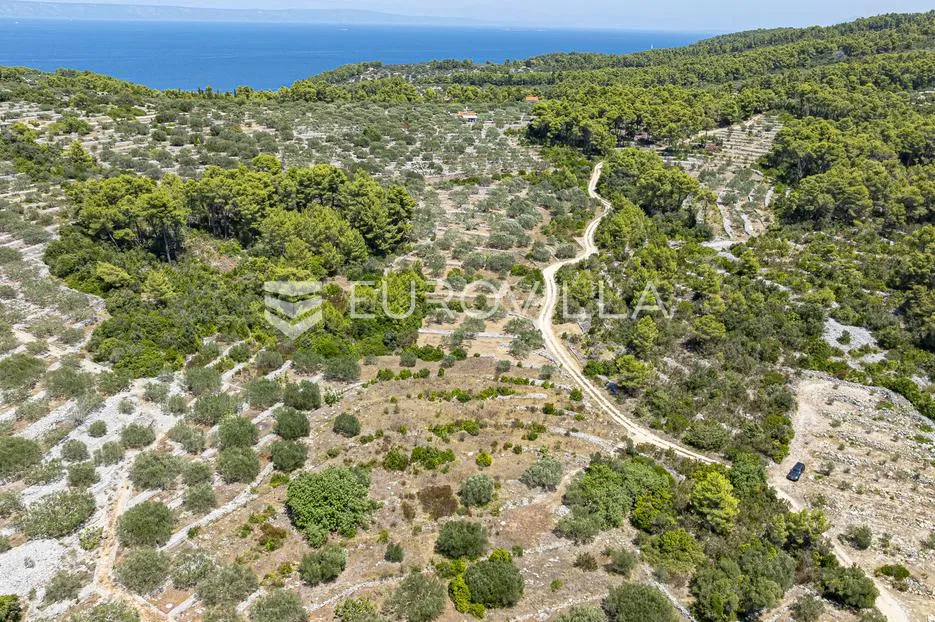 otok korčula, vela luka, poljoprivredno zemljište 980 m² - slika 4