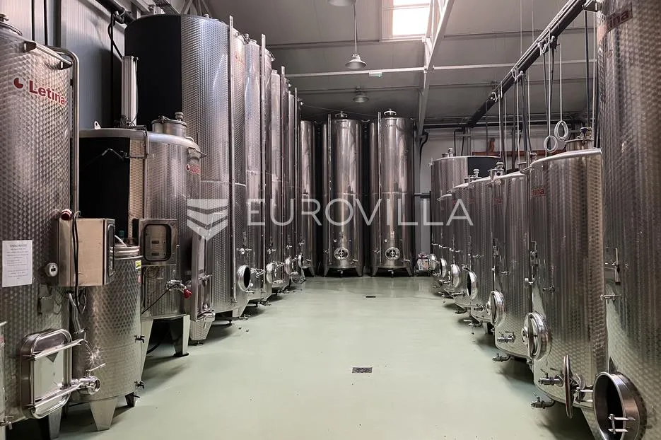 kneževi vinogradi, zmajevac, opremljena i uhodana vinarija - slika 4