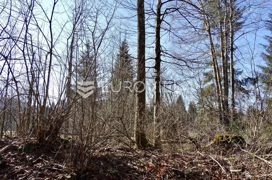 delnice, lučice, atraktivan građevni teren površine 6.919 m² - slika 3
