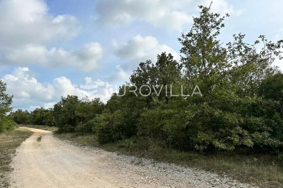 istra, svetvinčenat - 2377 m2 građevinskog zemljišta u industrijskoj zoni - slika 2
