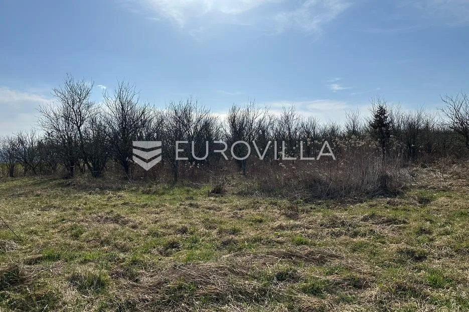 požega, stara lipa, prostrano poljoprivredno zemljište 44 058 m² - slika 4