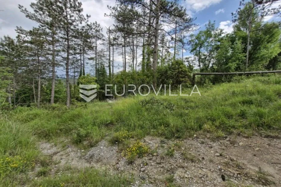 buzet, črnica, građevinsko zemljište 1920 m² - slika 2