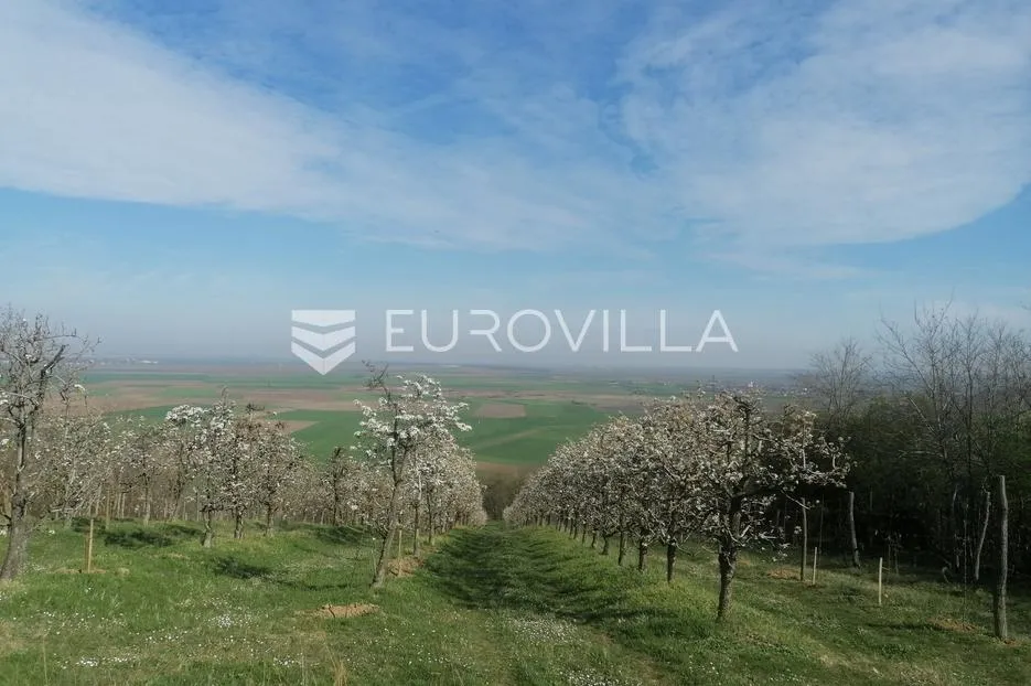 baranja, popovac, imanje s tri objekta, bazenom i 6ha zemlje proizvodnja - slika 34