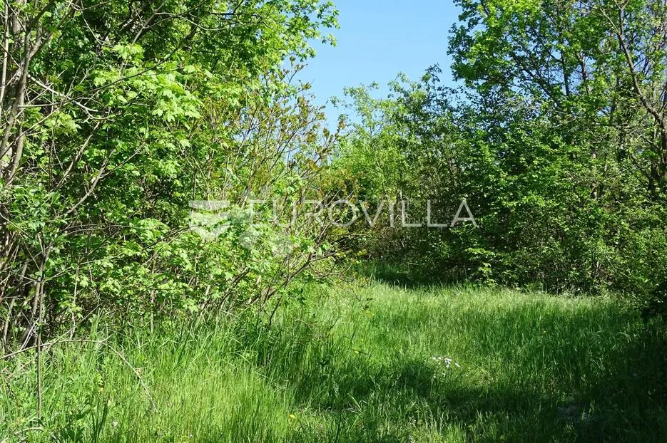 istra, ročko polje, poljoprivredno zemljište 5433m2 - slika 2