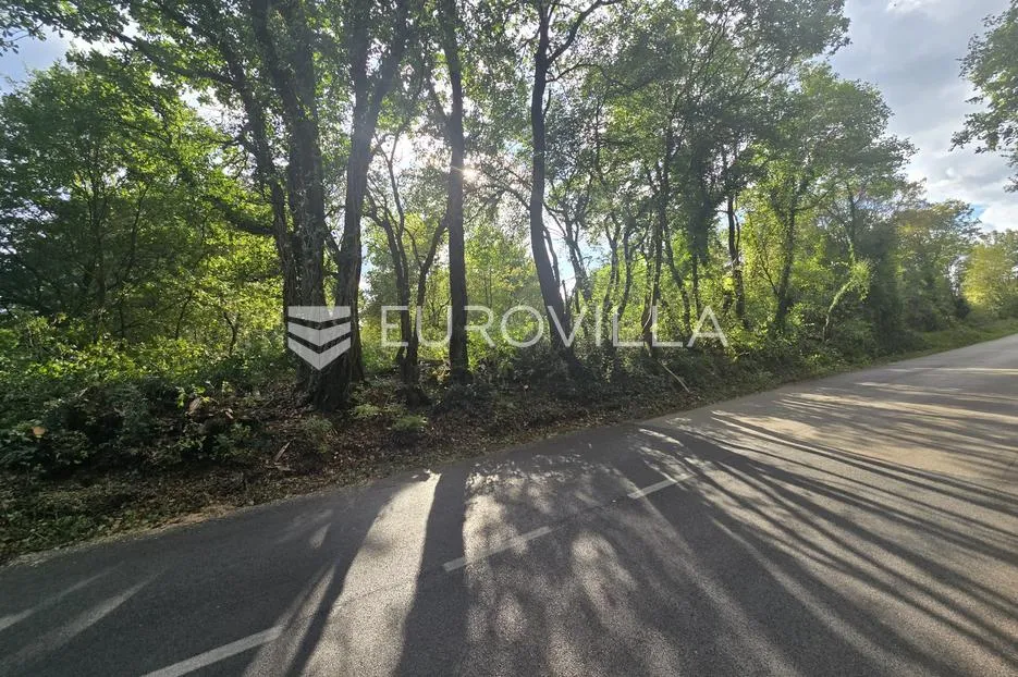 istra, krnica, poljoprivredno zemljište 3854 m² - slika 3