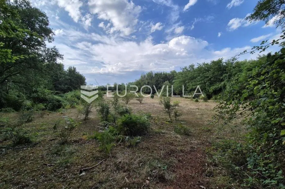 kaštelir, cerjani, poljoprivredno zemljište 24.118 m² s vlastitom šumom - slika 6