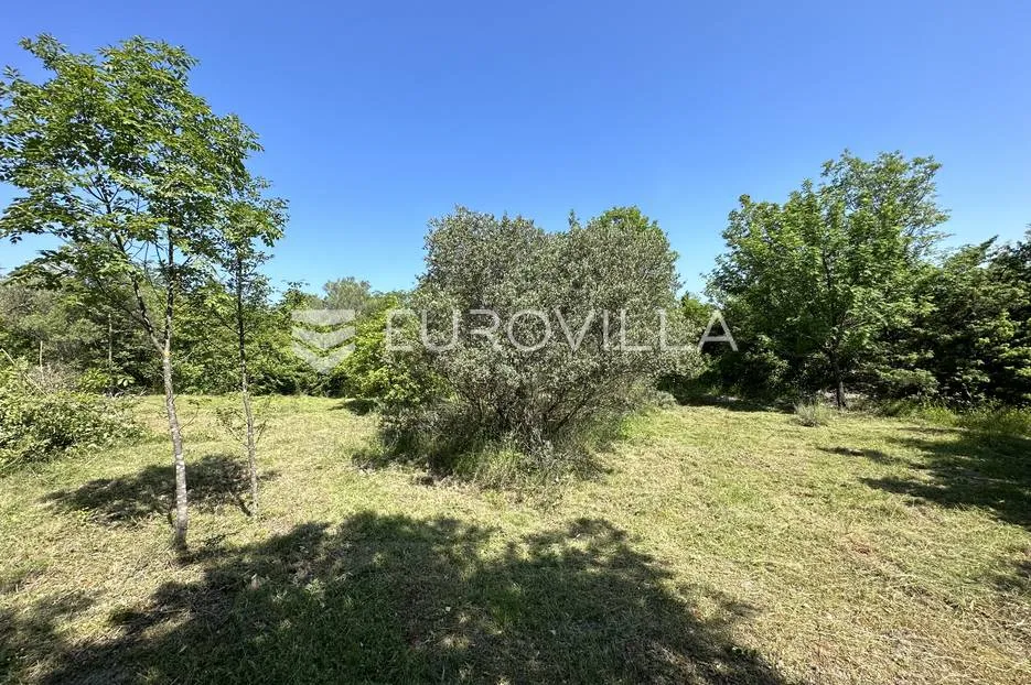 istra, šegotići, poljoprivredno zemljište, 3057m2 - slika 4