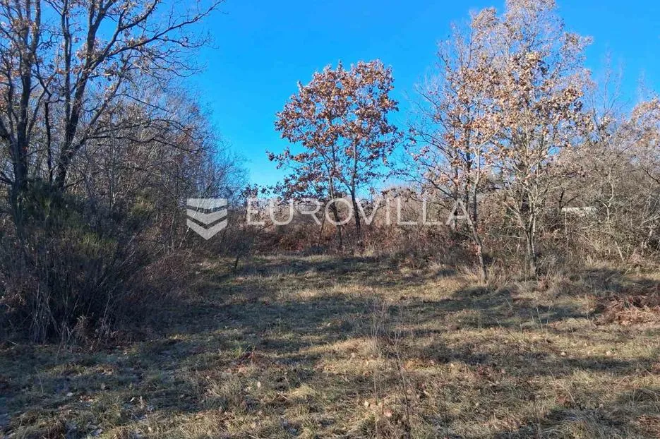 istra, barban, atraktivno poljoprivredno zemljište 4 729 m². - slika 2
