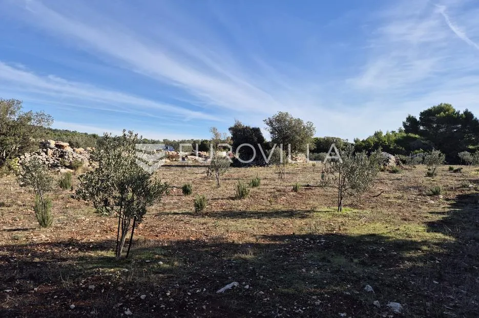 šolta, gornje selo, poljoprivredno zemljište s maslinikom površine 2.653 m² - slika 6