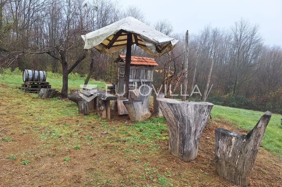 duga resa, galović selo, poljoprivredno zemljište 1400 m2 s vinogradom - slika 6