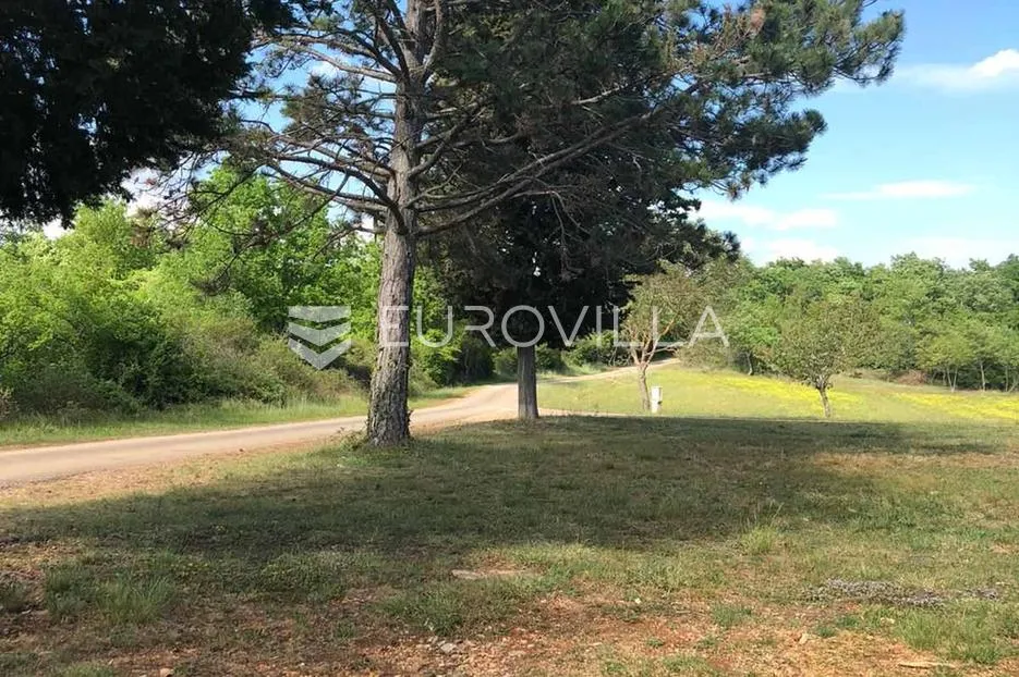 Istra, Sveti Lovreč okolica, građevinsko 538m2 i poljoprivredno zemljište ukupne površine 48294m2 - Medvidići, Sveti Lovreč Pazenatički