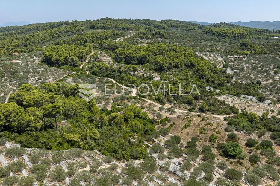 otok korčula, vela luka, poljoprivredno zemljište 980 m² - slika 5