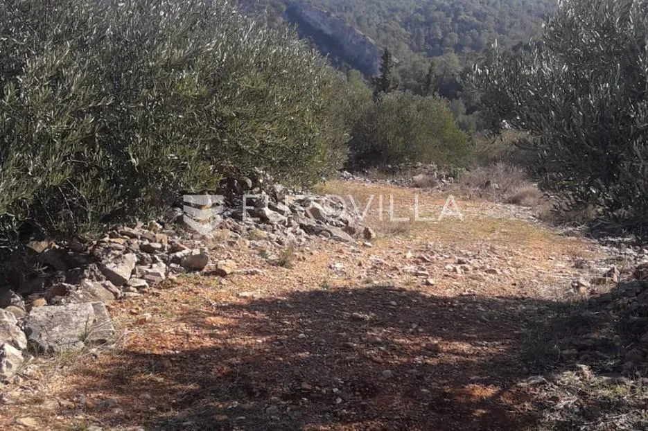 hvar, zastražišće, poljoprivredno zemljište, s pogledom na more - slika 7