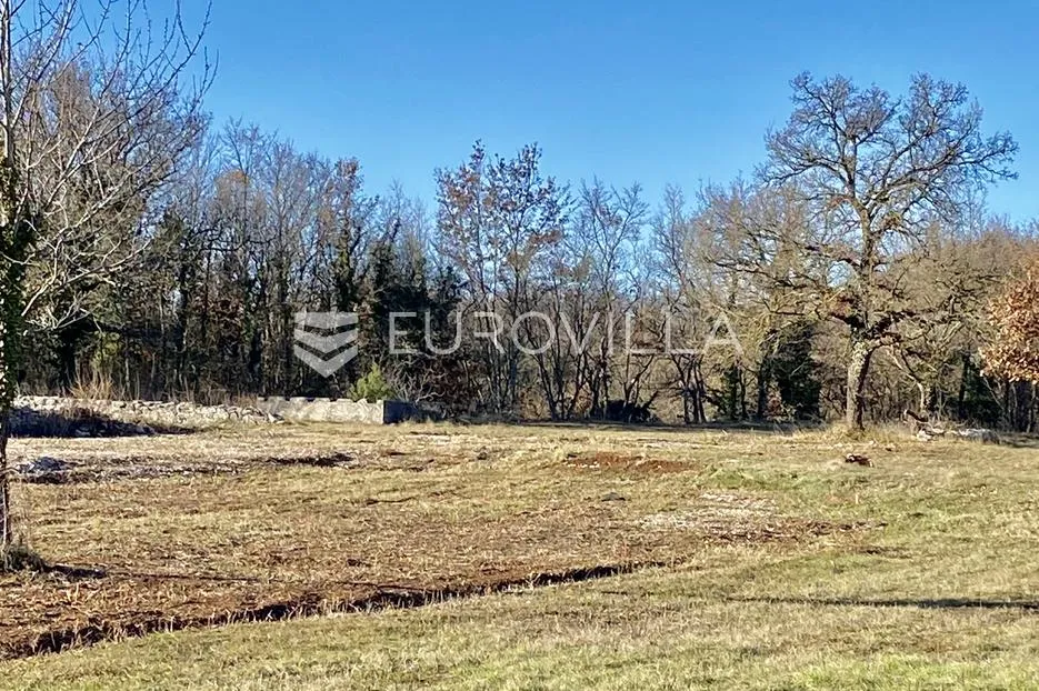 istra, svetvinčenat - građevinsko zemljište 550 m2 s pristupnim putem - mirna lokacija - slika 2