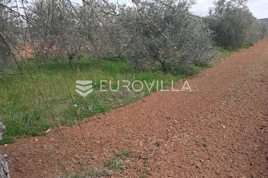 istra, rovinj, poljoprivredno zemljište sa ucrtanim objektom, prilika za agroturizam ili opg - slika 7