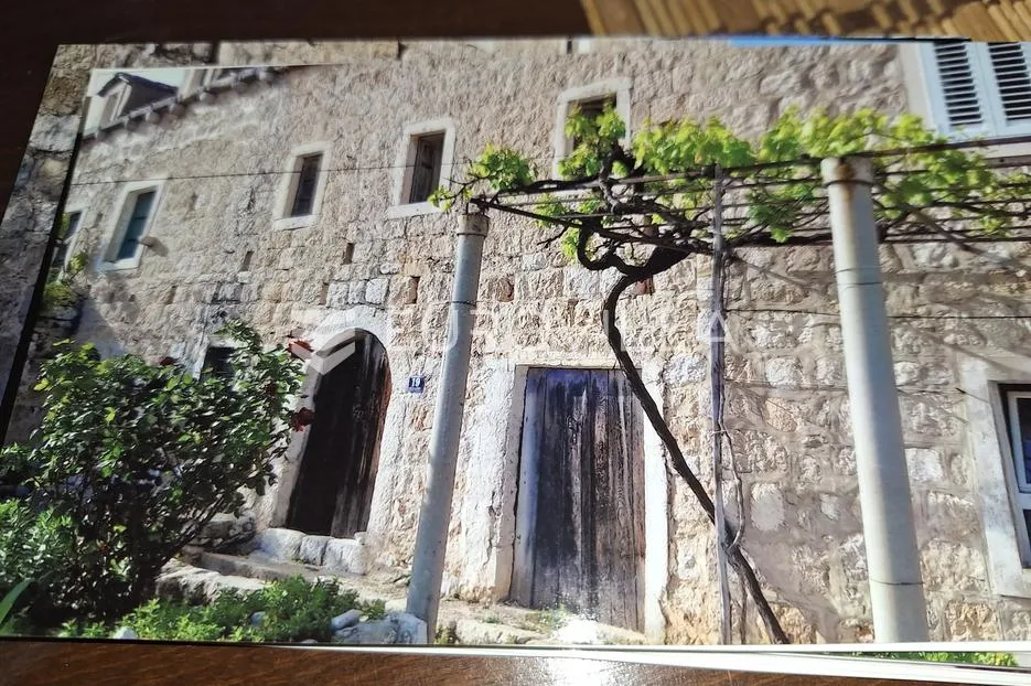 mljet, babino polje, sršenovići, stara kamena kuća u nizu - slika 2