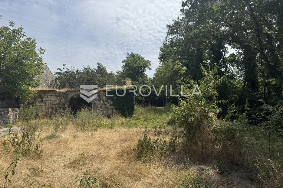 istra, sveti lovreč okolica, građevinsko 538m2 i poljoprivredno zemljište ukupne površine 48294m2 - slika 4