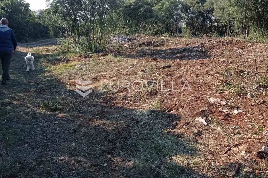marčana, kavran, poljoprivredno zemljište 1600 m2 - slika 4