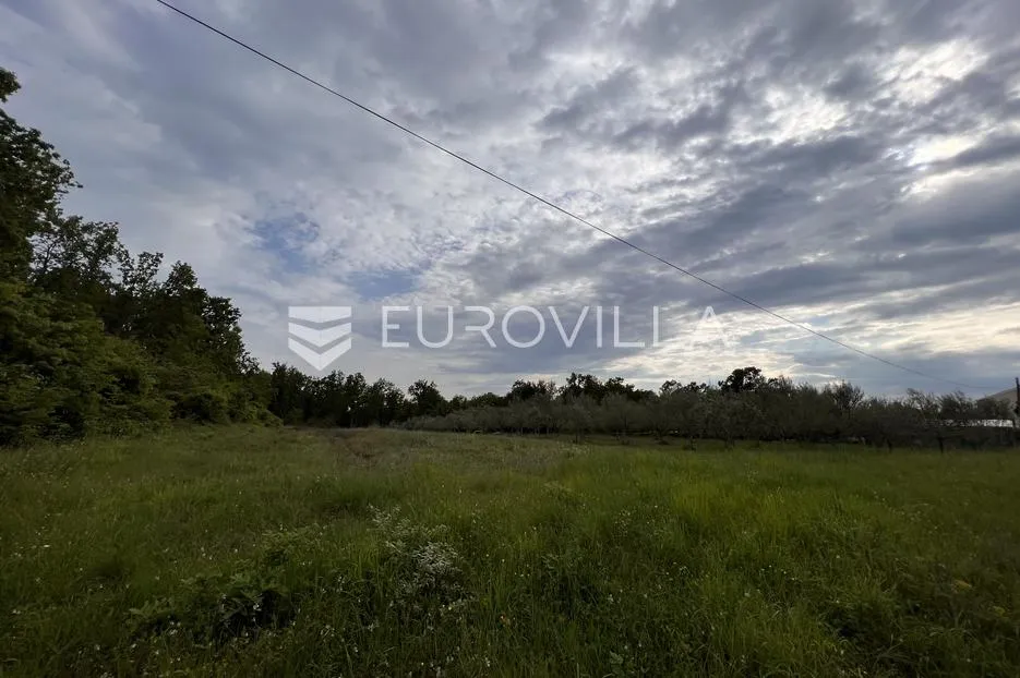 istra, juricani, građevinsko zemljište 860m2, okolica umaga - slika 2