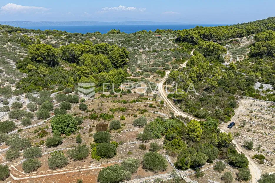 otok korčula, vela luka, poljoprivredno zemljište 980 m² - slika 3
