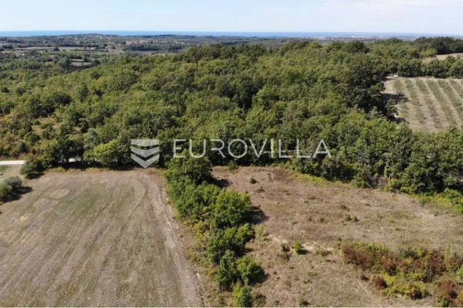 istra, predivno zemljište 26.700 m² pogodno za vinograd sa vinskim podrumom - slika 6