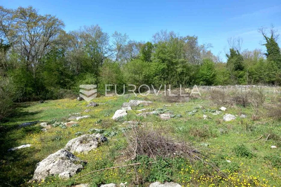 istra, vrsar okolica - prilika!!! građevinsko zemljište na rubu naselja okruženo zelenilom - slika 2