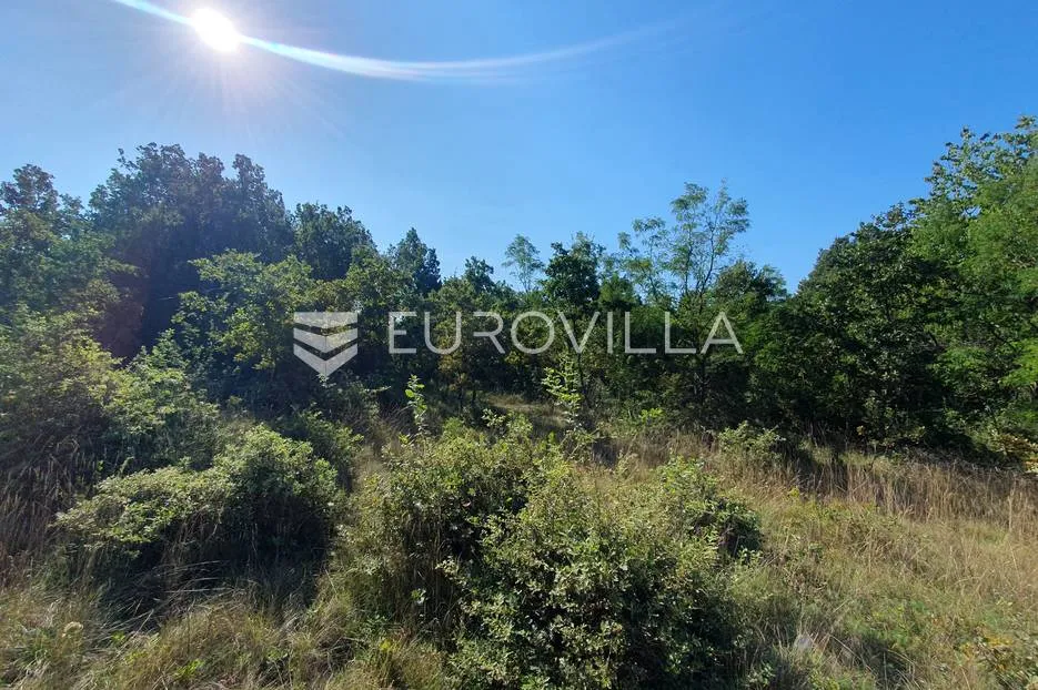 istra, baderna, poljoprivredno zemljište 12.120m2 - slika 8