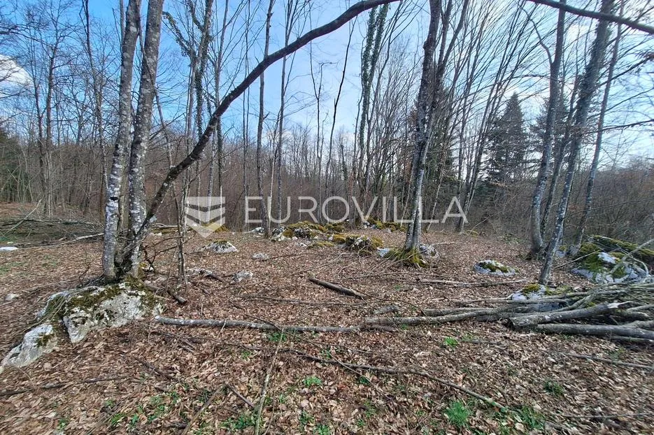 bosiljevo, zemljište 103000 m² s 2 objekta na mirnoj lokaciji - slika 8