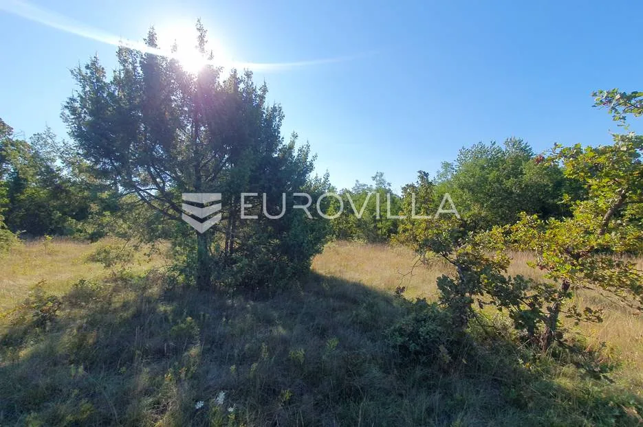 istra, baderna, poljoprivredno zemljište 12.120m2 - slika 4