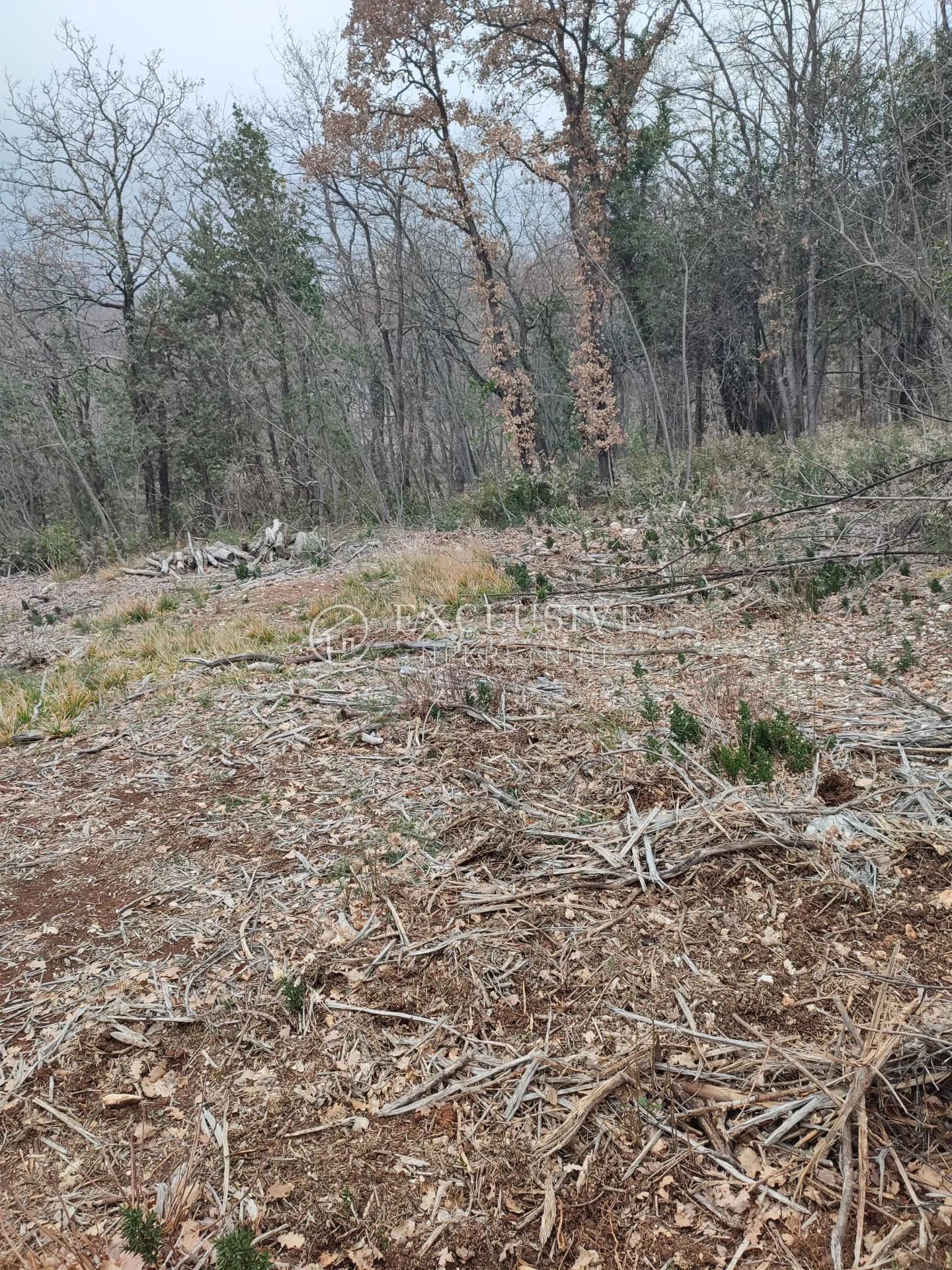 brseč - 1791m2 u zoni budučeg golf terena - slika 3