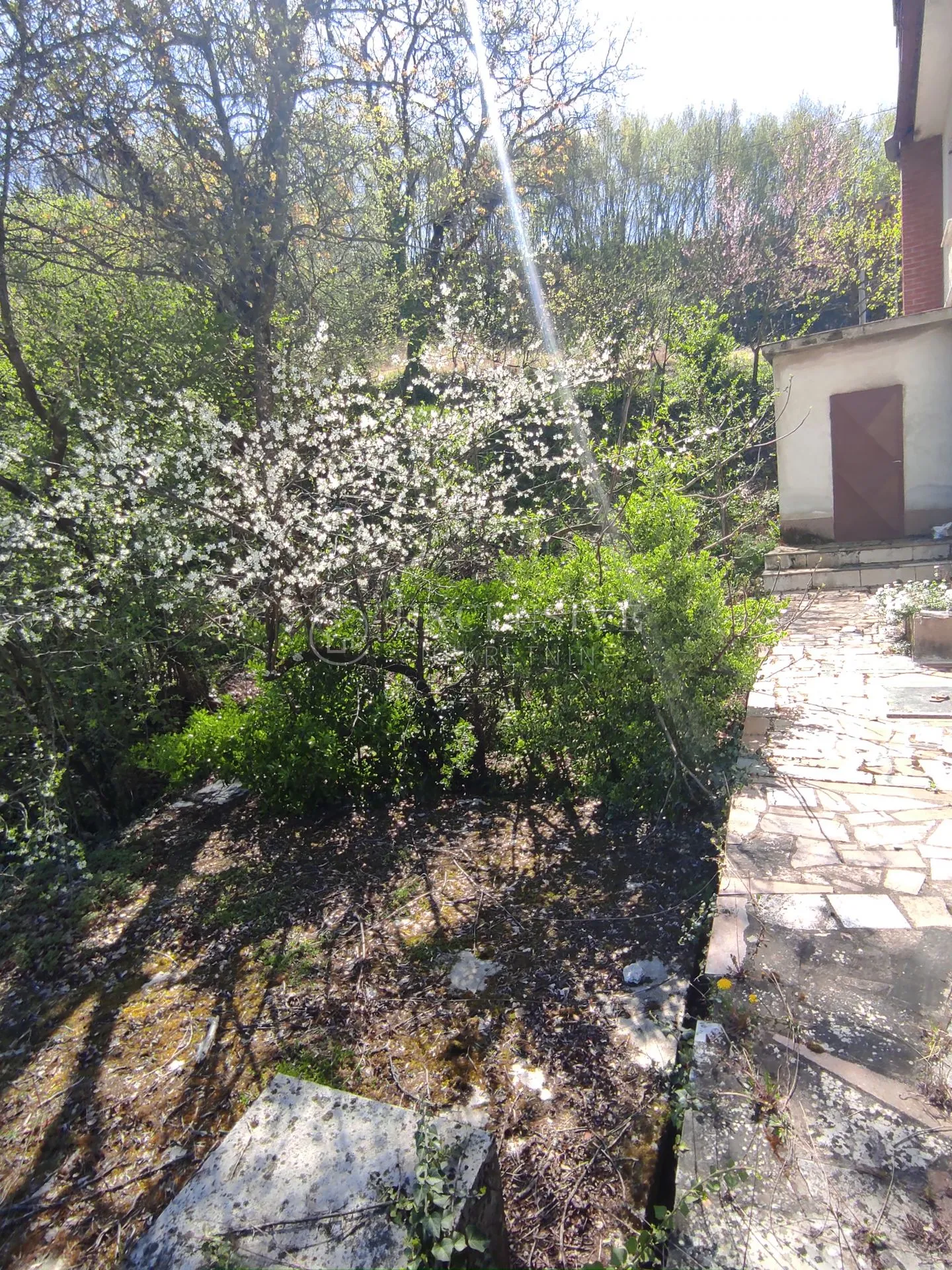 istra - samostojeća kuća okolica buzeta - slika 5