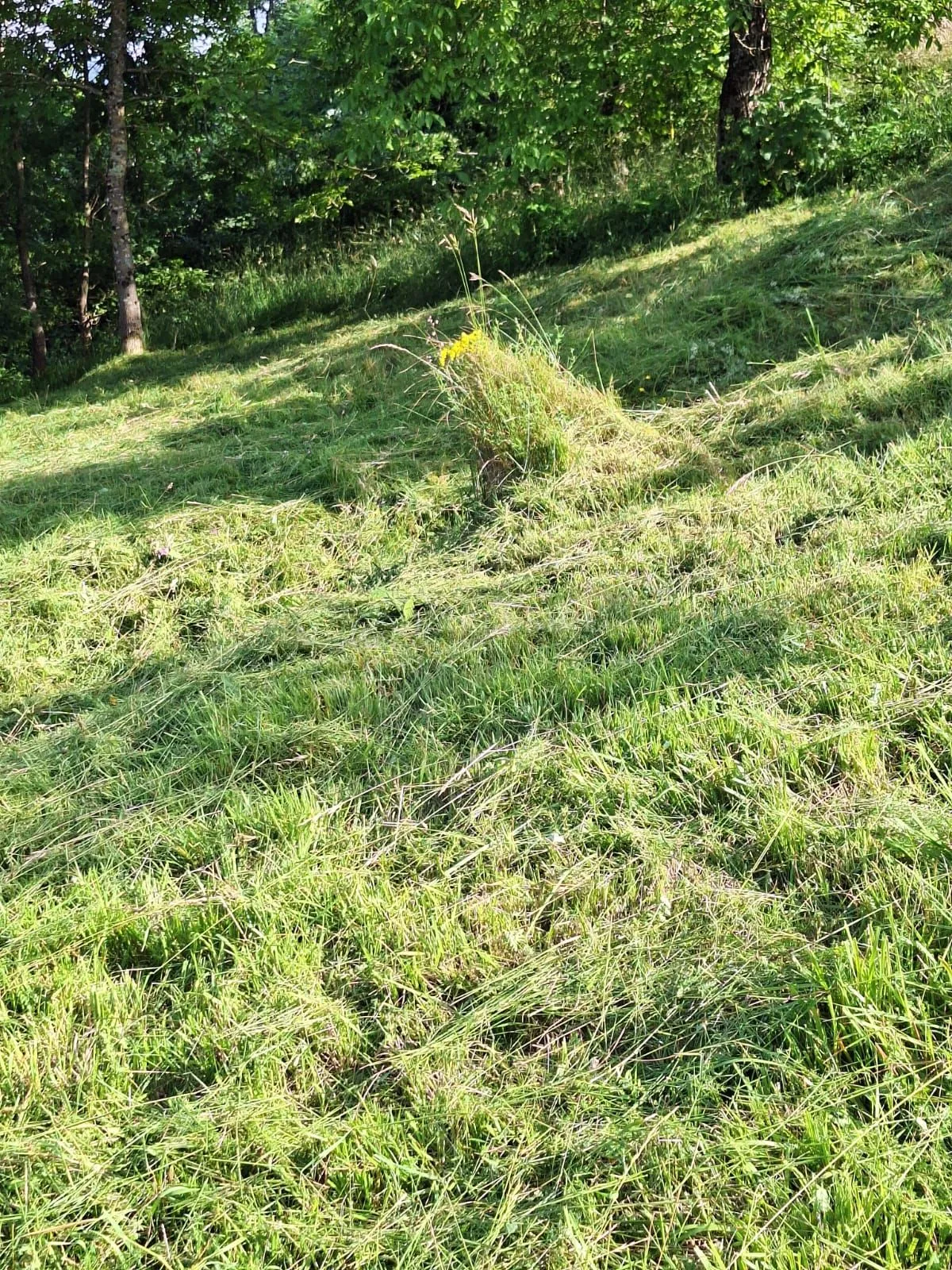vrbovsko - gradjevinski teren od 544m2, može i "a" frame kuća - slika 2