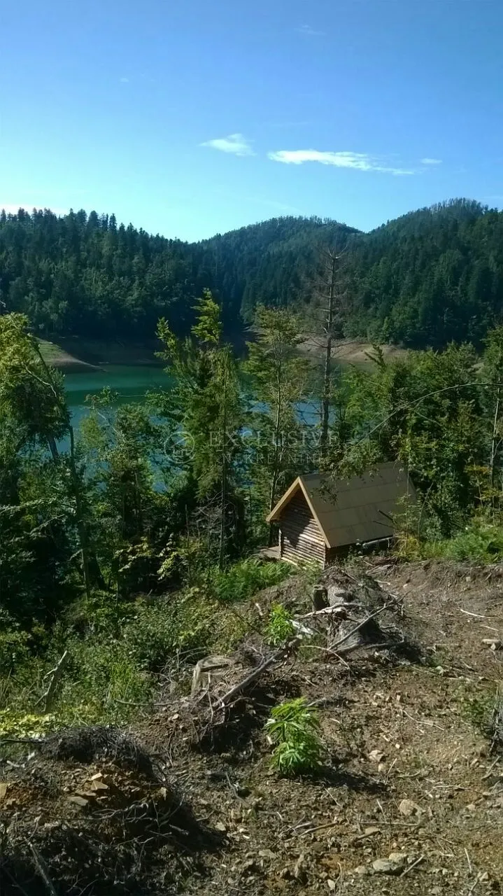 gorski kotar - brvnara na jezeru sa 3629m2 terena i izvorom vode - slika 3