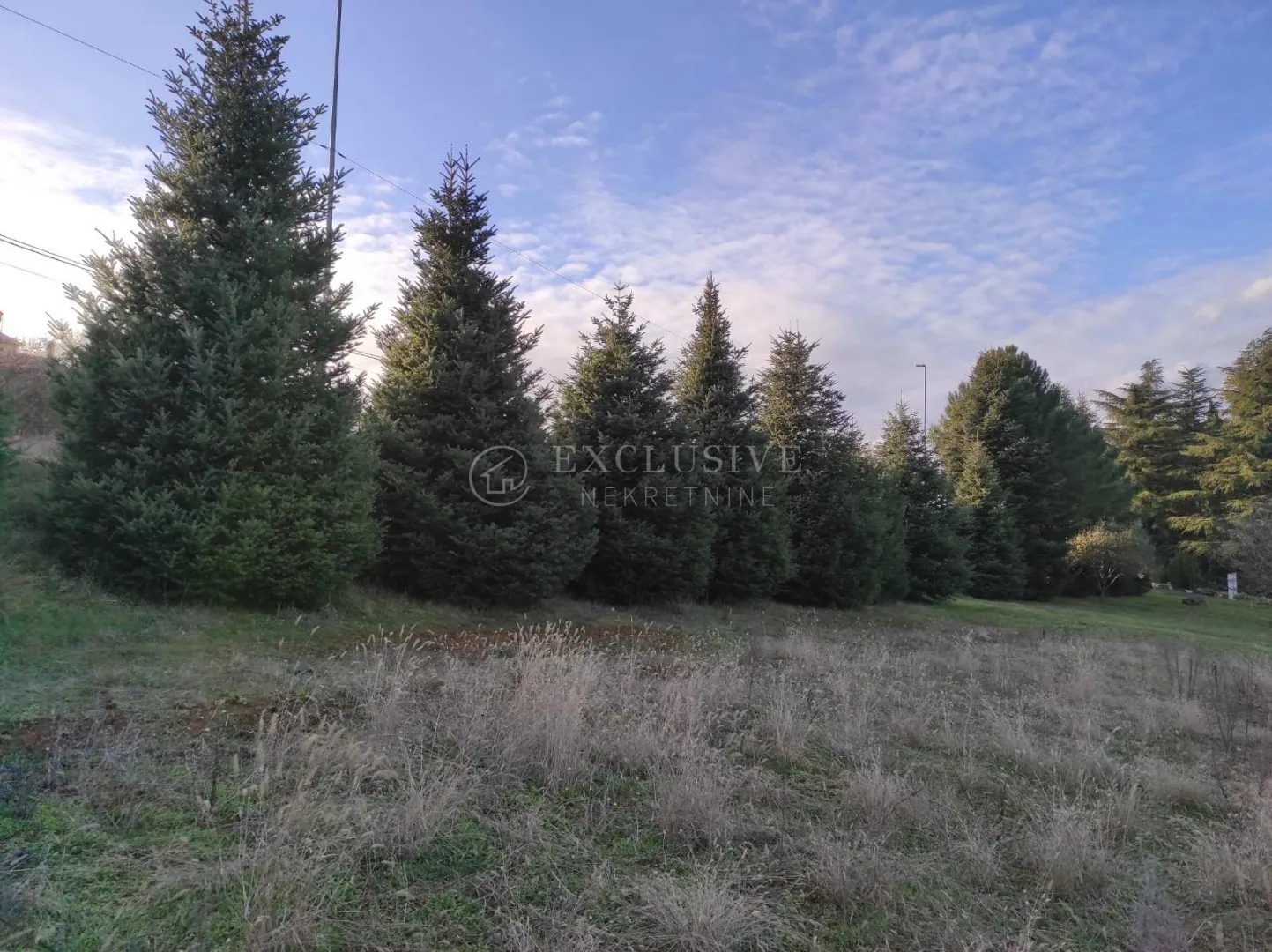 istra - karojba - gradjevinsko zemljiše pravilnog oblika - slika 7