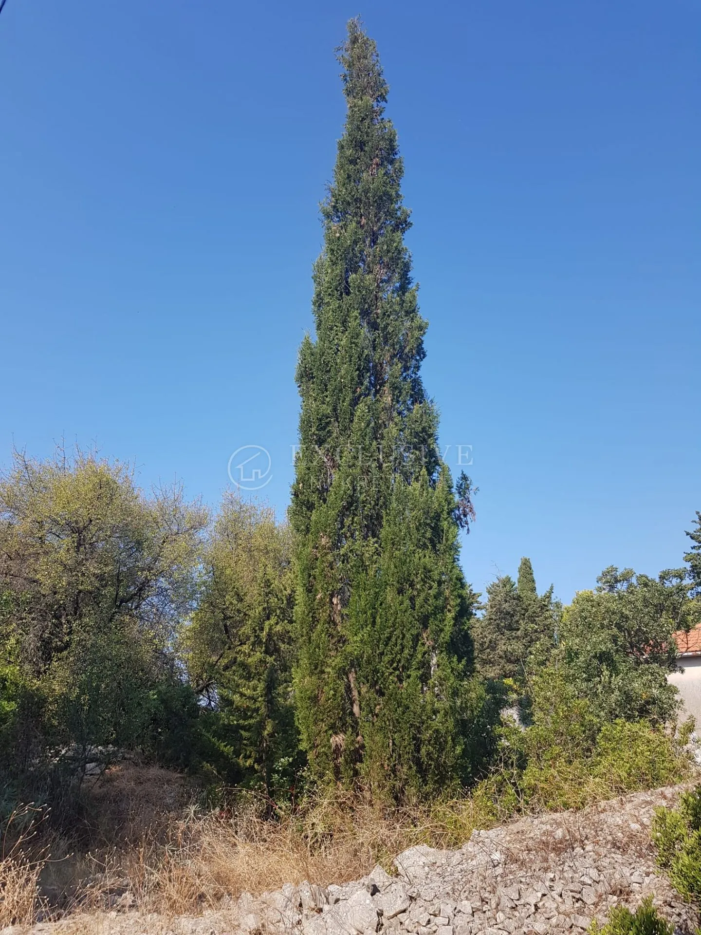 šolta, građevinski teren 1343 m2 sa otvorenim pogledom na more - slika 8