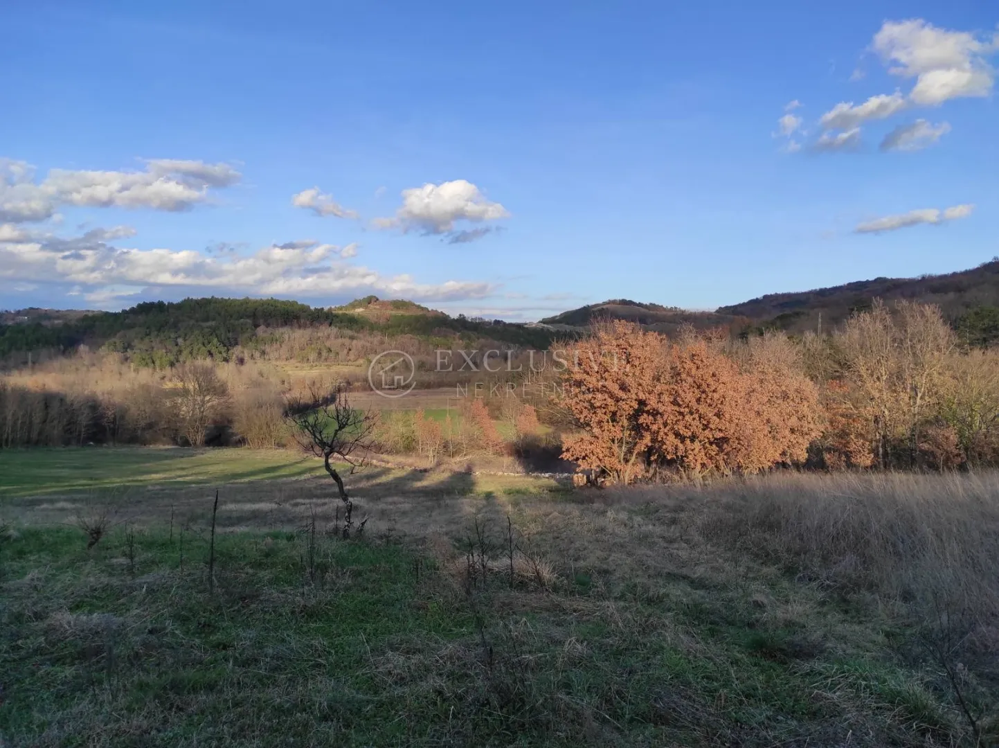istra - karojba - gradjevinsko zemljiše pravilnog oblika - slika 3