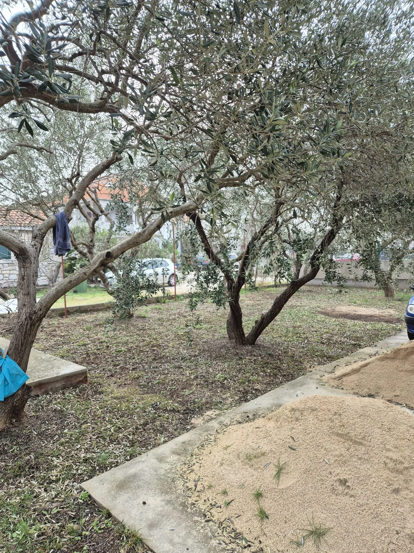 bibinje, kuća 186 m2 sa 4 stana i 470 m2 okućnice - slika 9