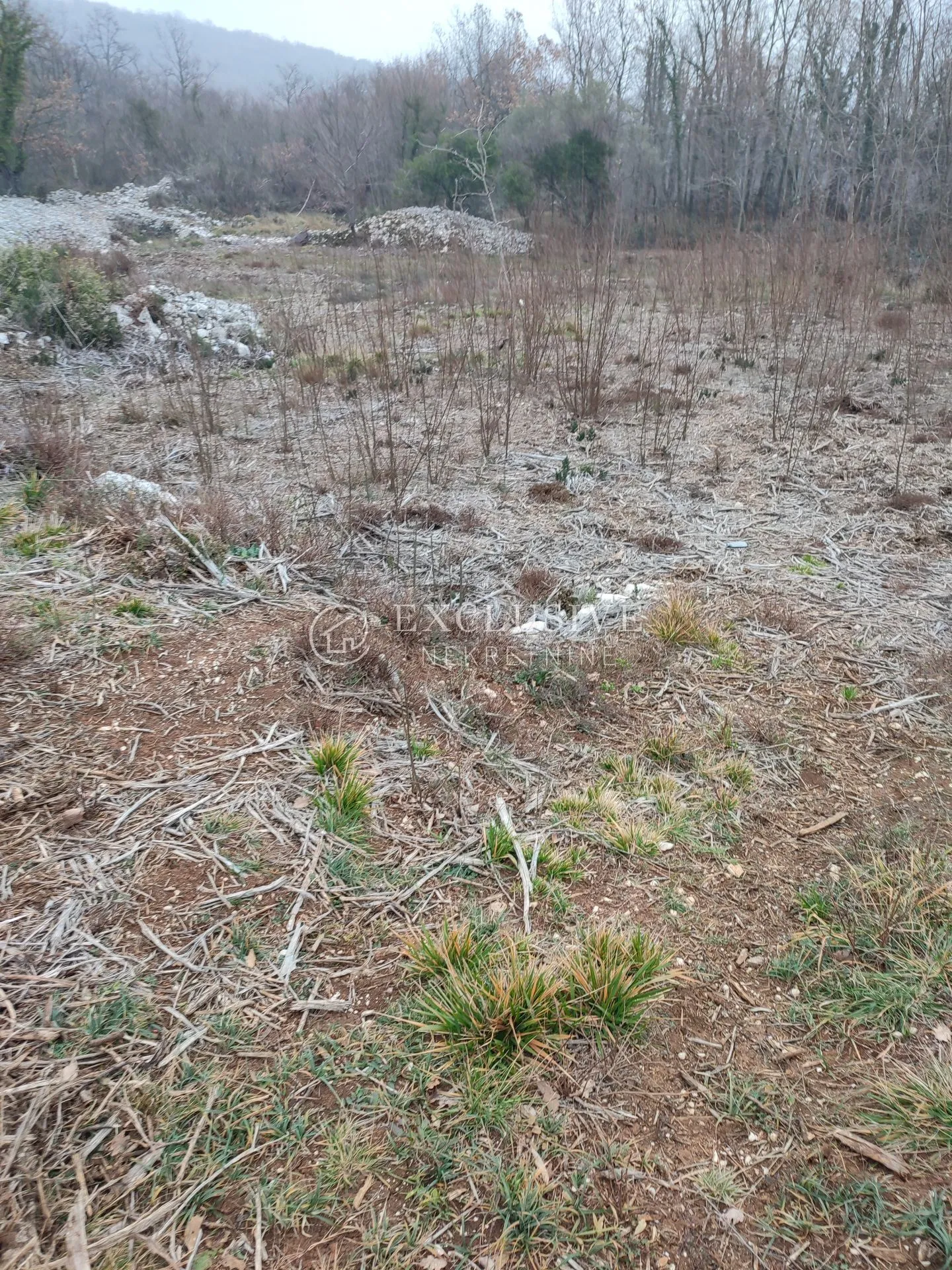 brseč - 7621 m2 poljoprivredno zemljište - slika 3