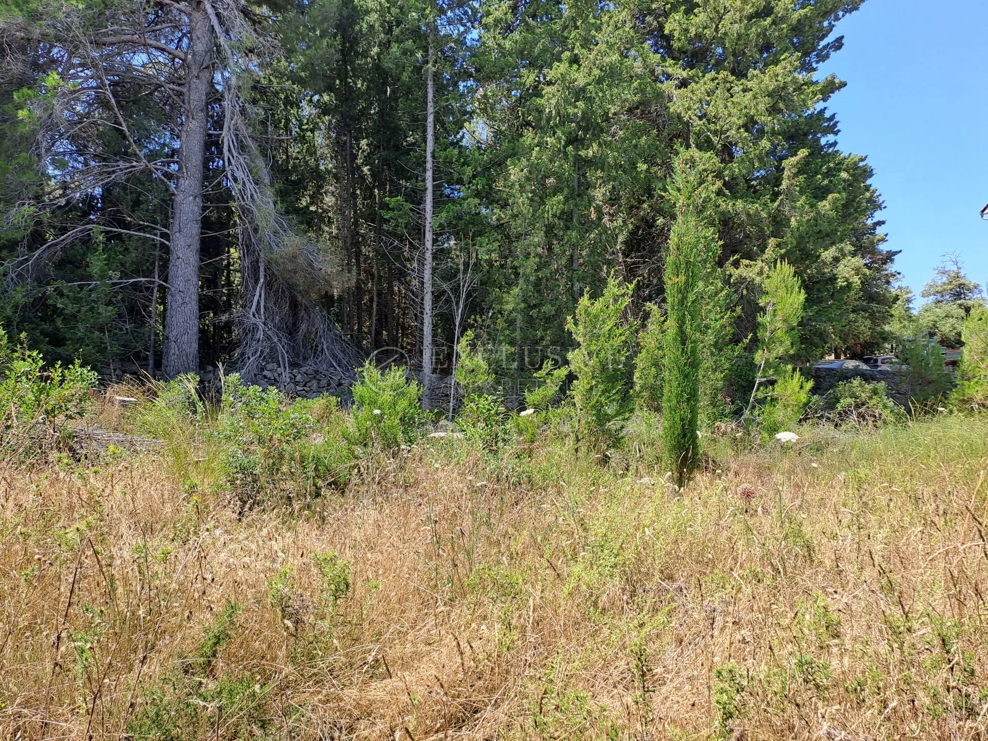 pašman, ždrelac, građevinski teren 2000 m2 - slika 6