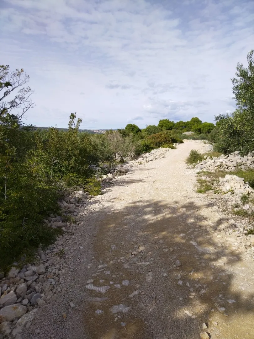 punat, otok krk, poljoprivredno zemljište na atraktivnoj lokaciji 140 m od mora!!! - slika 2
