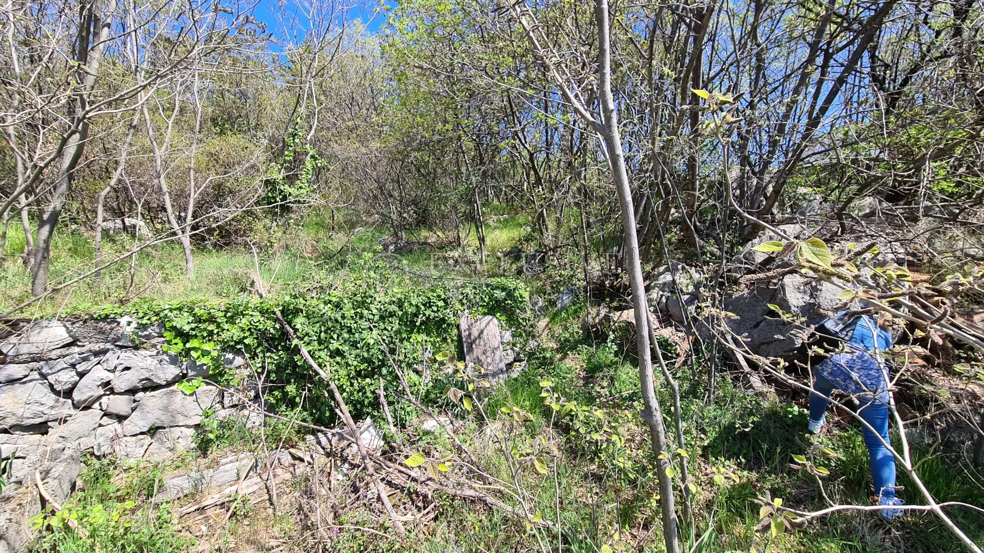 pavlovac- odlično građevinsko zemljište s prekrasnim pogledom na more - slika 5