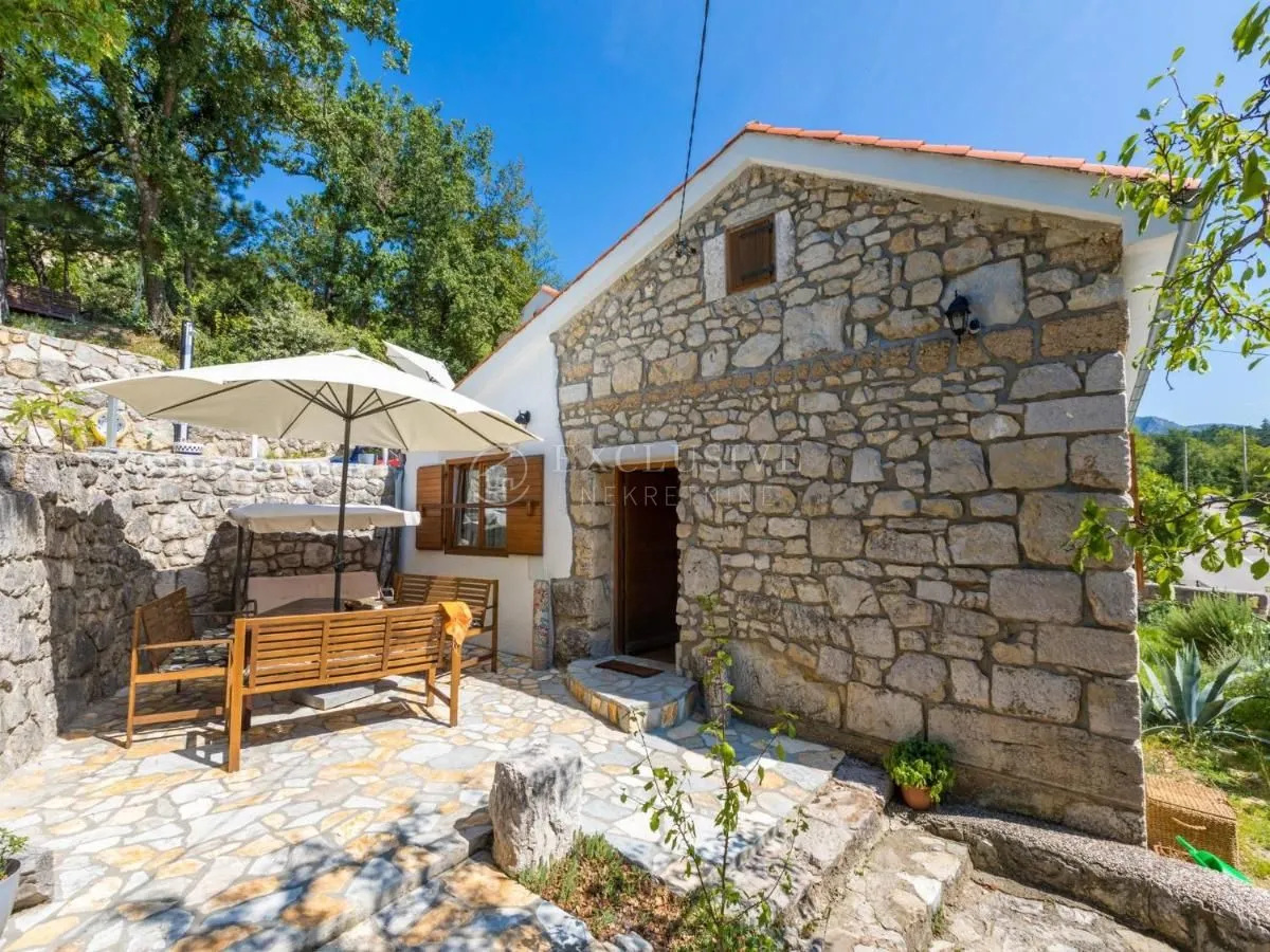 crikvenica, zaleđe - dvije kamene kuće s bazenom - slika 25